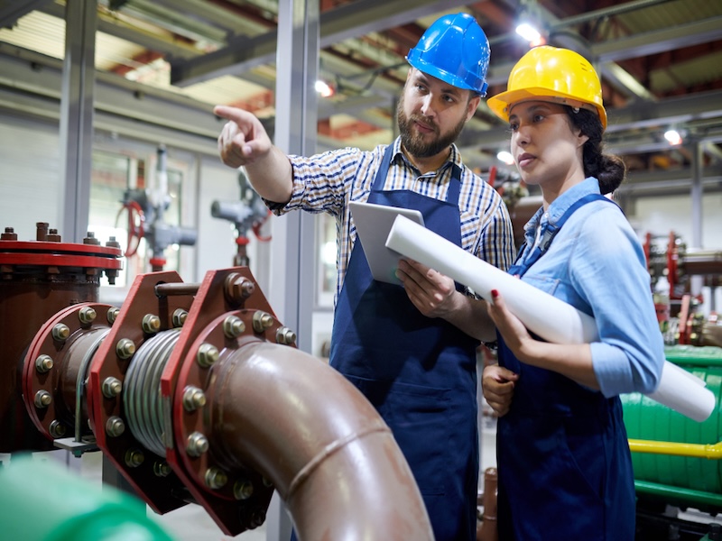 Project Management & Assistance
